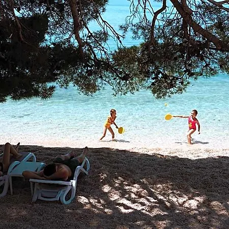 Bluesun Neptun 3*