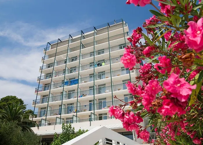 Bluesun Neptun - 3*